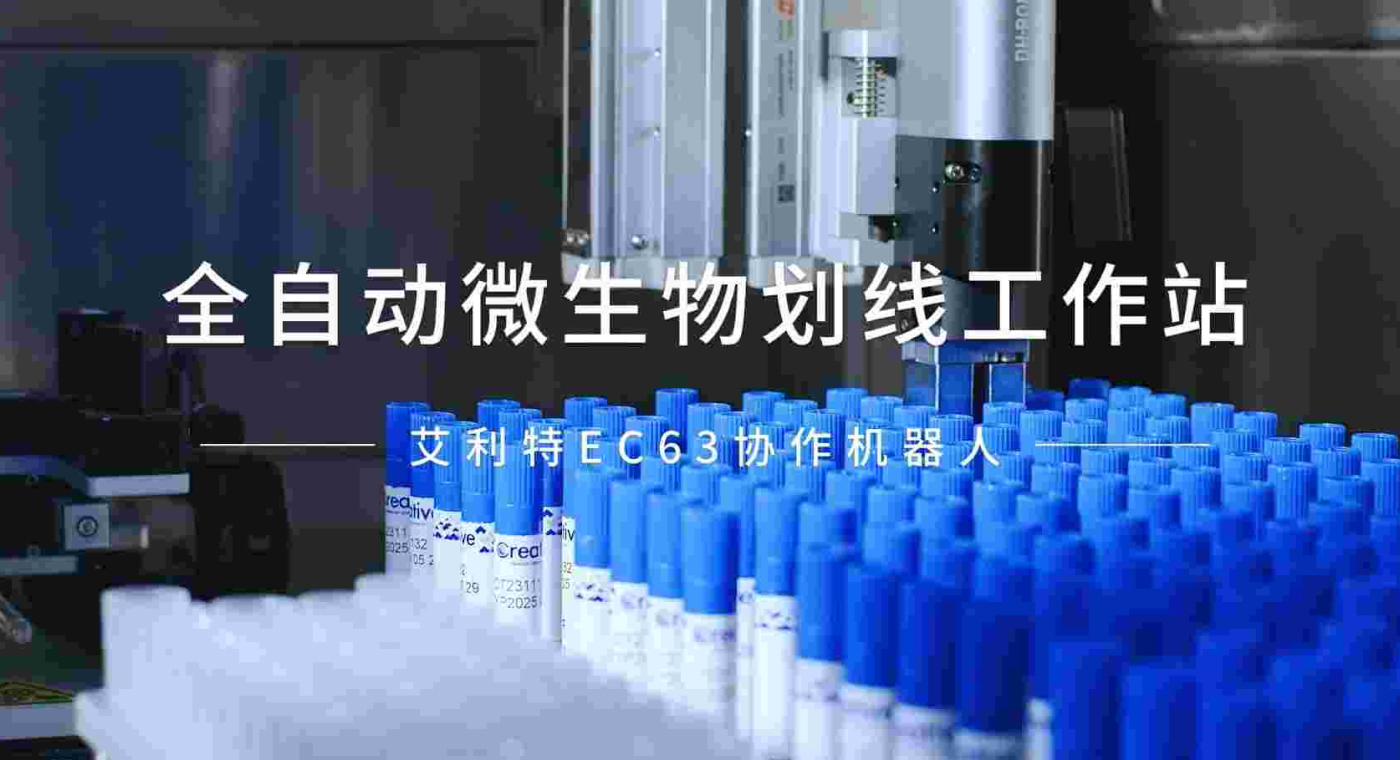 Frame 1321321803.jpg